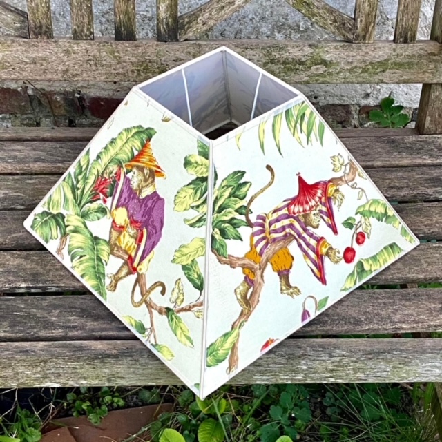 Tissu singeries vue 5