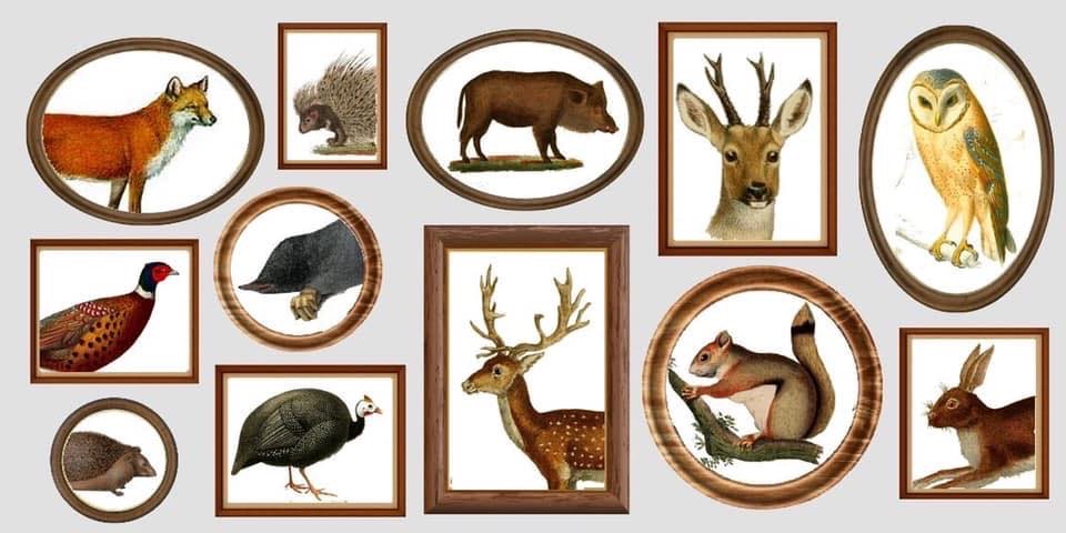 Applique demi-lune thème tableaux d'animaux vue 2