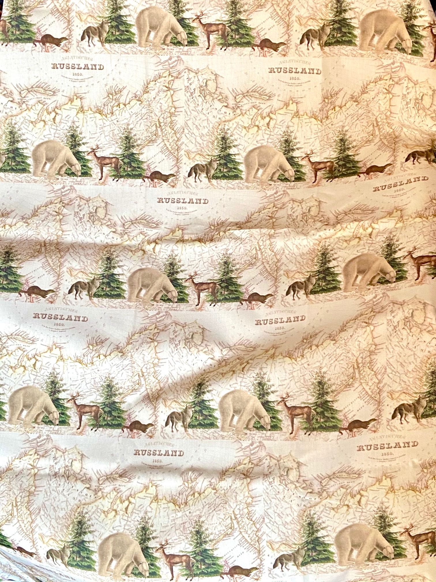 Tissu Russland, création l'Esprit des Lumières vue 2