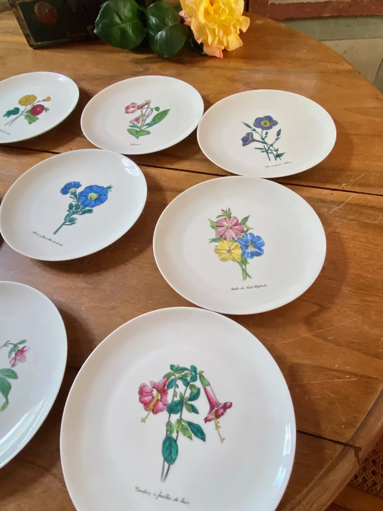 série de 9 assiettes à dessert, porcelaine de Limoges thème fleurs vue 2
