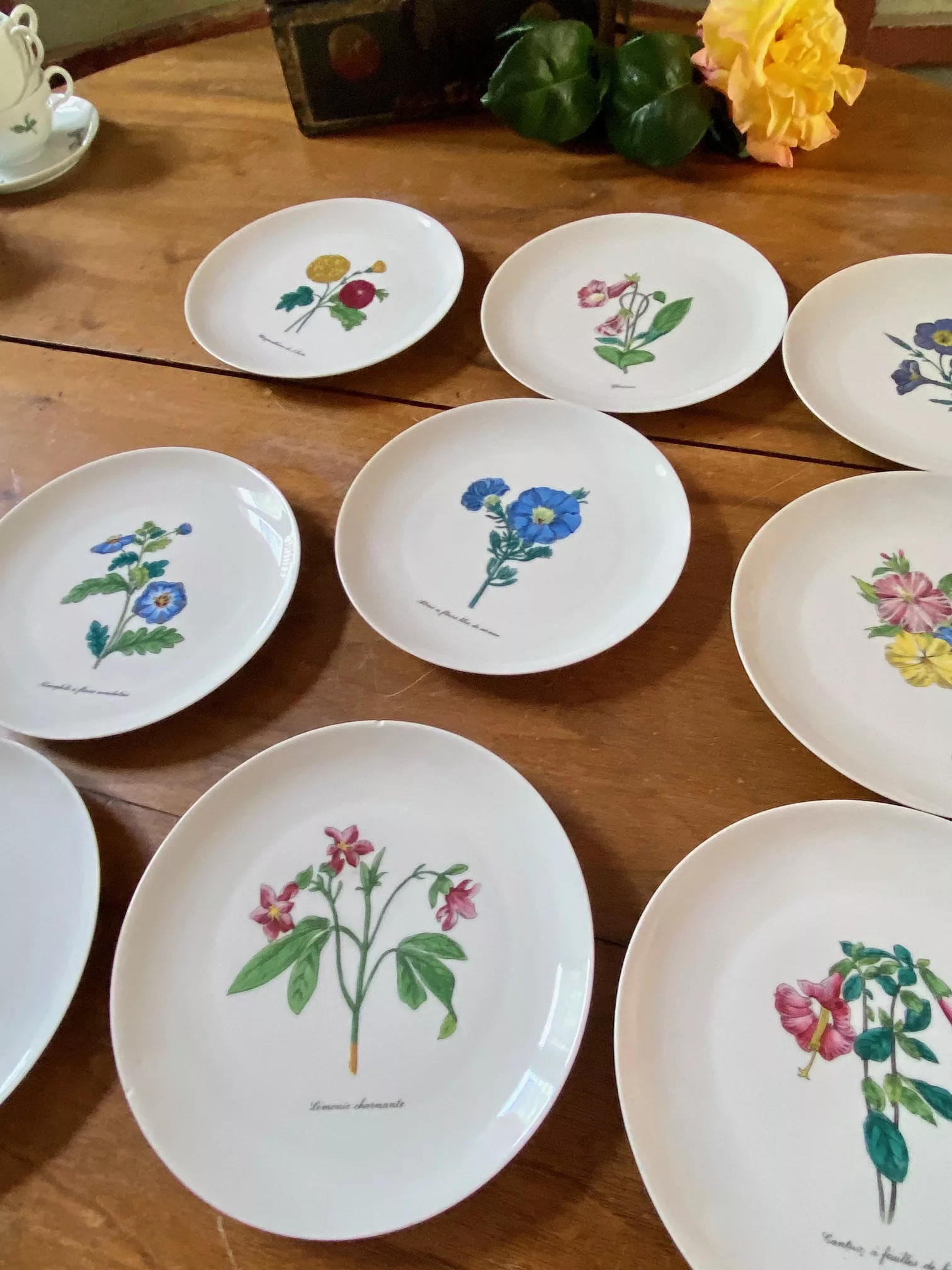 série de 9 assiettes à dessert, porcelaine de Limoges thème fleurs vue 3