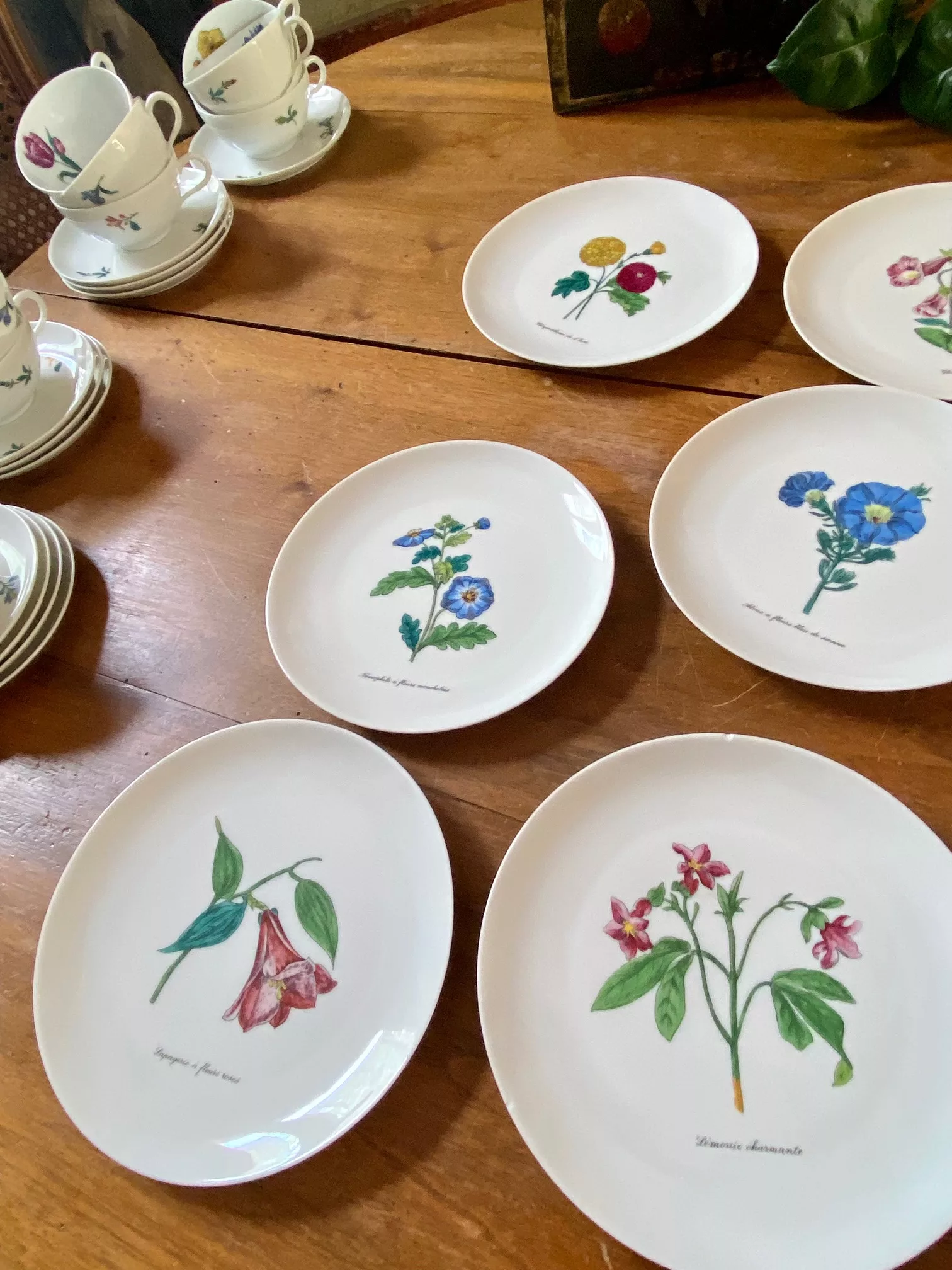 série de 9 assiettes à dessert, porcelaine de Limoges thème fleurs vue 4