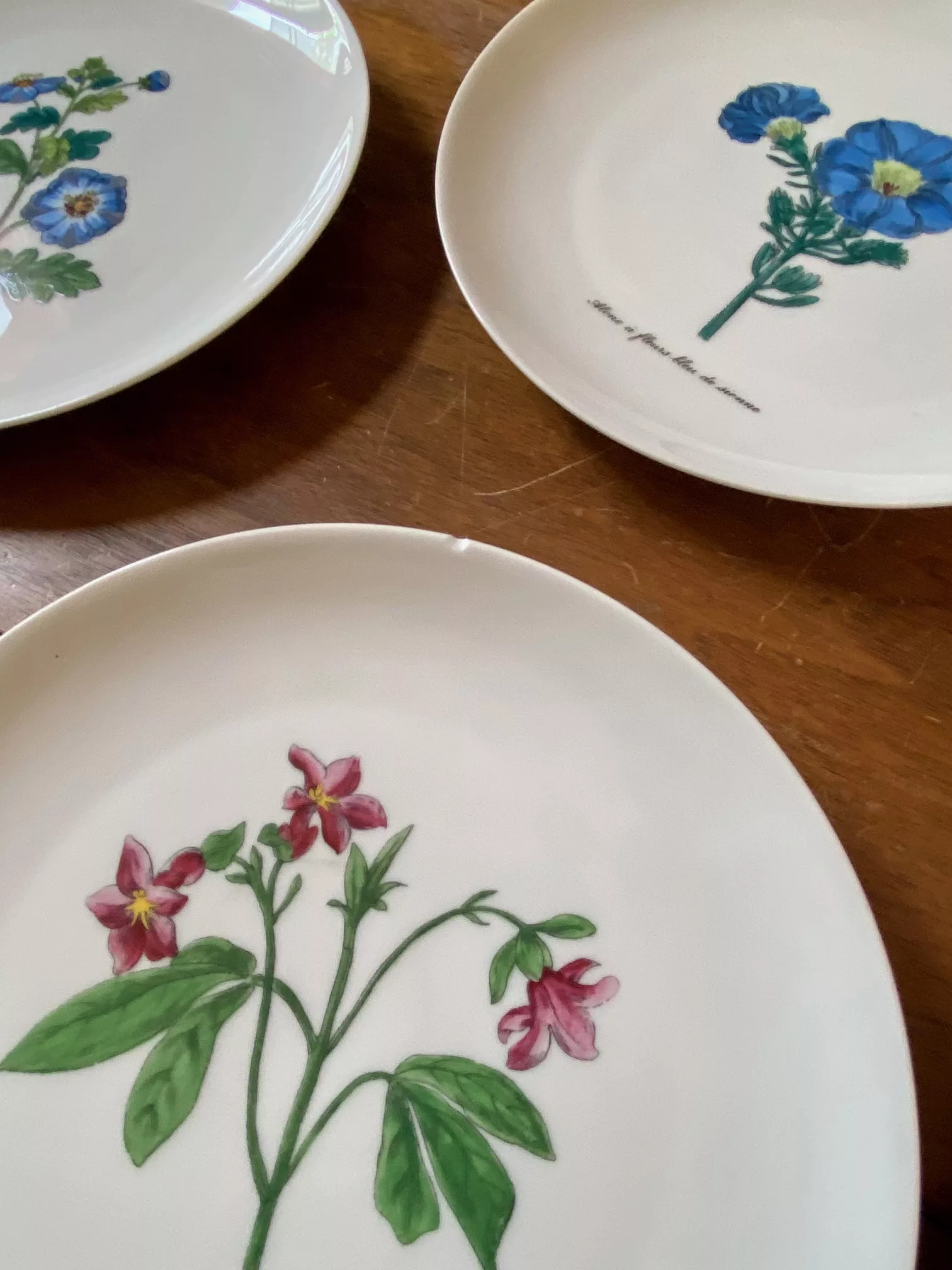 série de 9 assiettes à dessert, porcelaine de Limoges thème fleurs vue 5