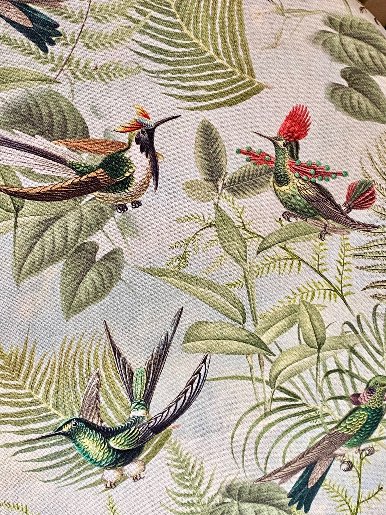Tissu Coton Colibris Haeckel vue 2