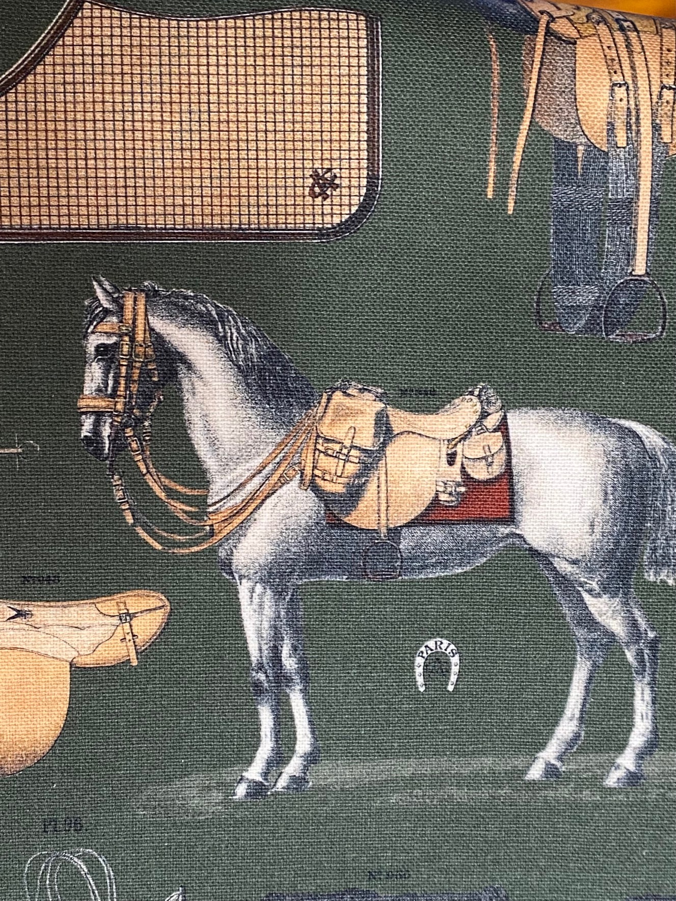Tissu équitation fond vert vue 2