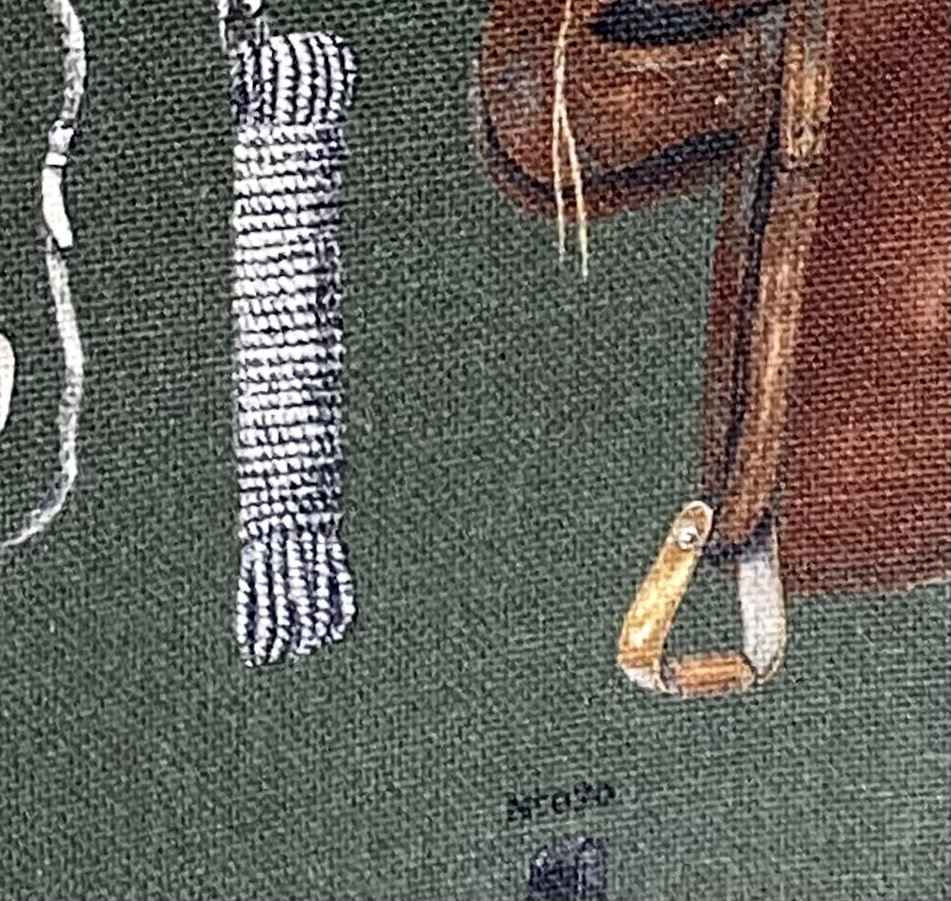 Tissu équitation fond vert vue 3