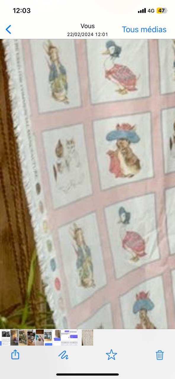 Tissu Beatrix Potter cadres vue 2