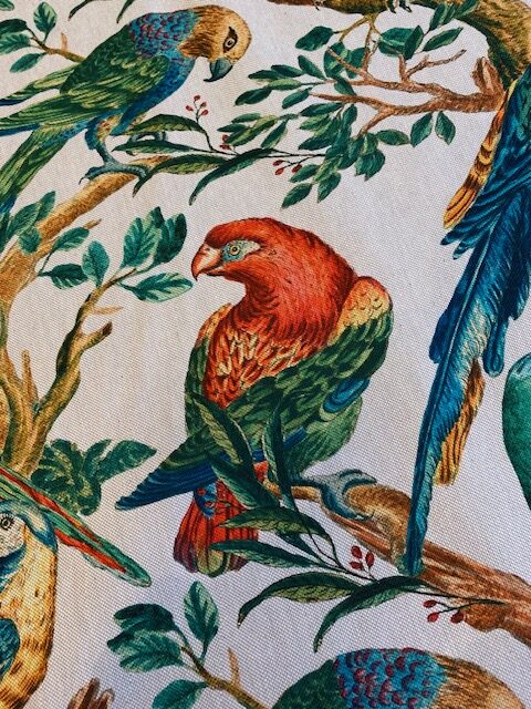 Tissu Perroquets colorés vue 3