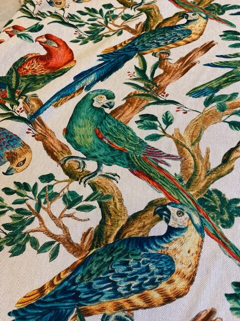 Tissu Perroquets colorés vue 4