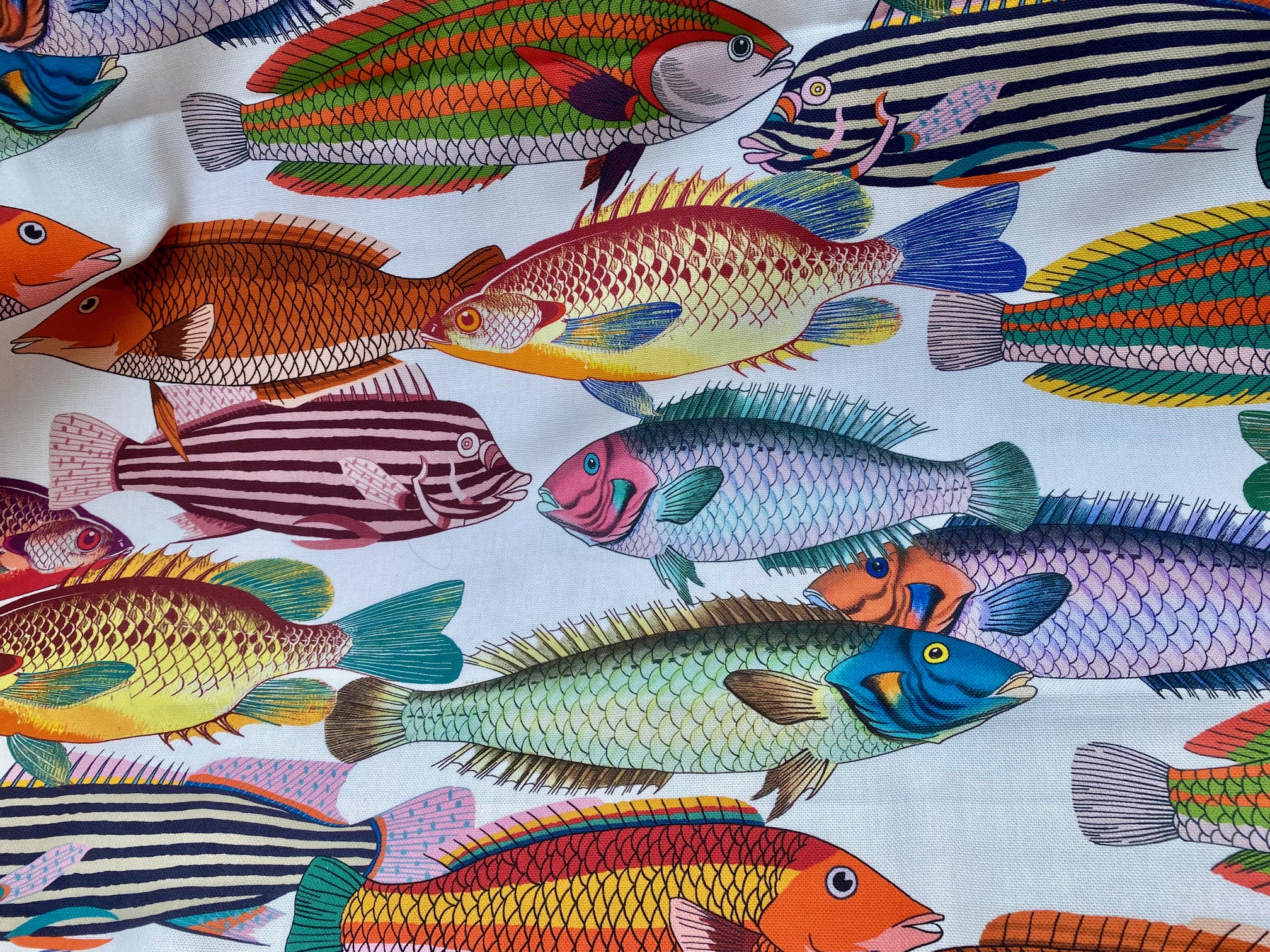 Tissu poissons multicolores -Tahiti vue 3